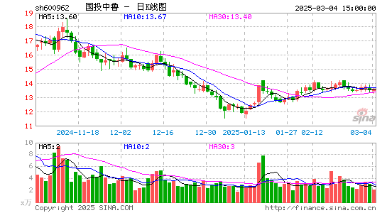 国投中鲁