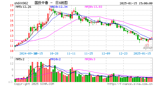 国投中鲁