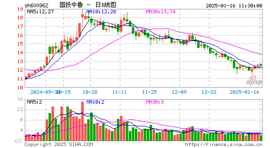 国投中鲁