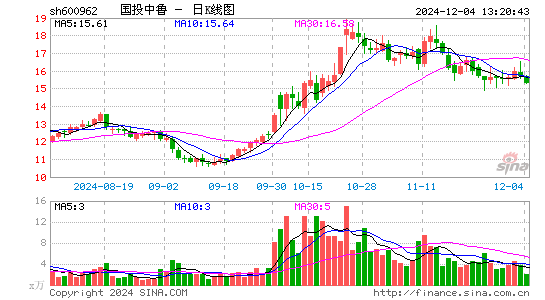 国投中鲁