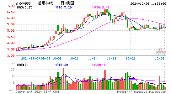 岳阳林纸