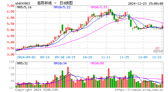 岳阳林纸