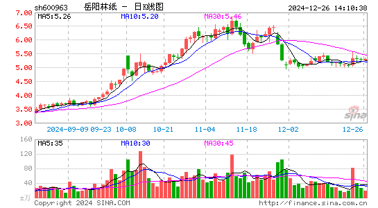 岳阳林纸