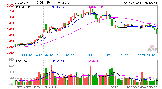 岳阳林纸