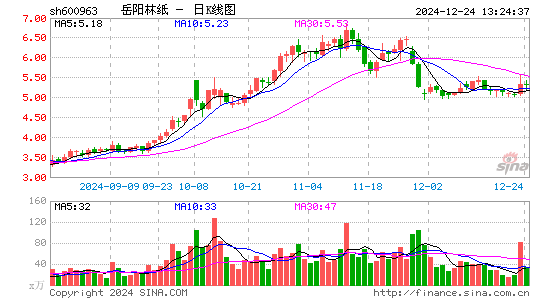 岳阳林纸