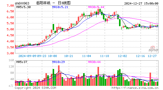 岳阳林纸