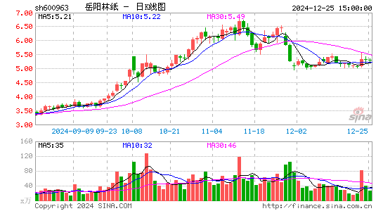 岳阳林纸