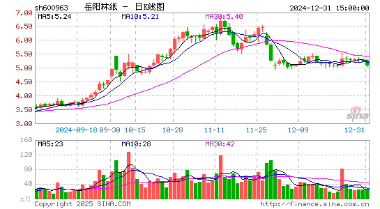 岳阳林纸