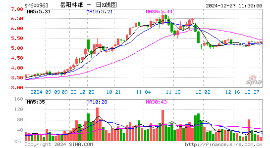 岳阳林纸