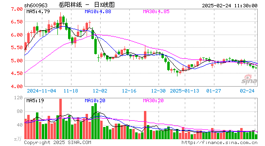 岳阳林纸