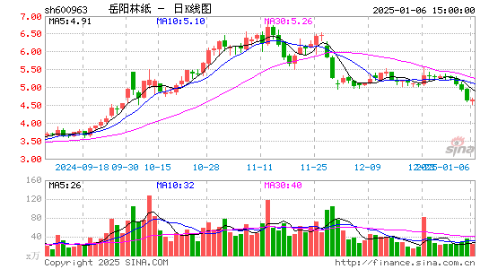 岳阳林纸