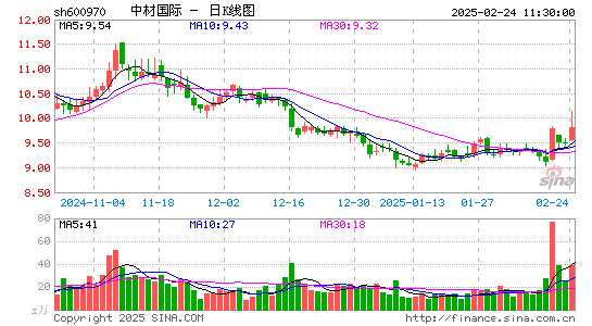 中材国际