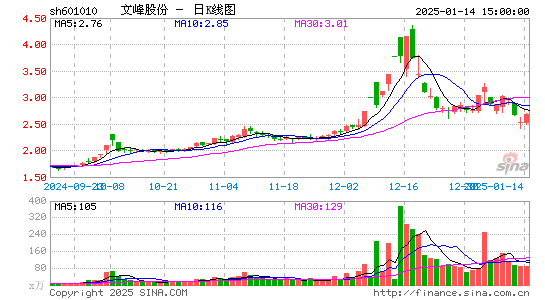 文峰股份