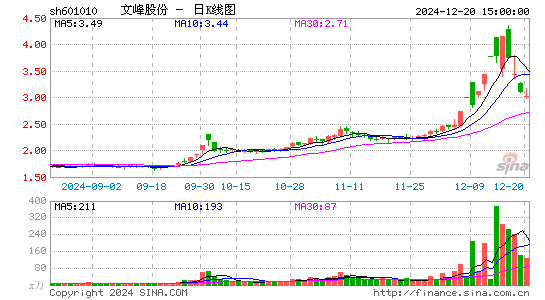 文峰股份