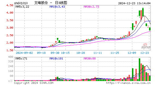 文峰股份