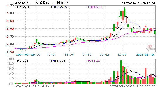 文峰股份