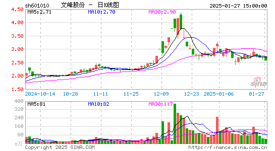 文峰股份