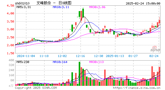 文峰股份