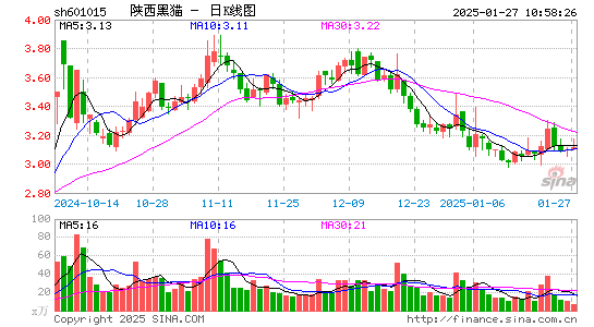 陕西黑猫