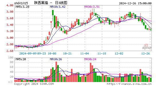 陕西黑猫