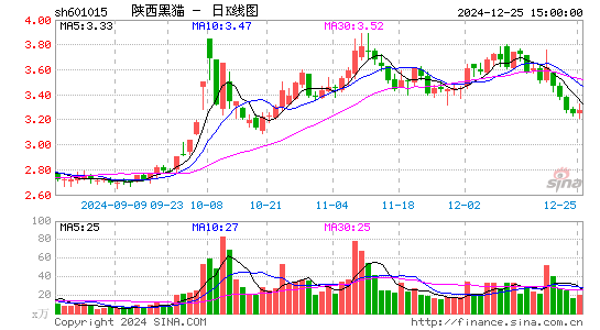 陕西黑猫