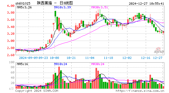 陕西黑猫