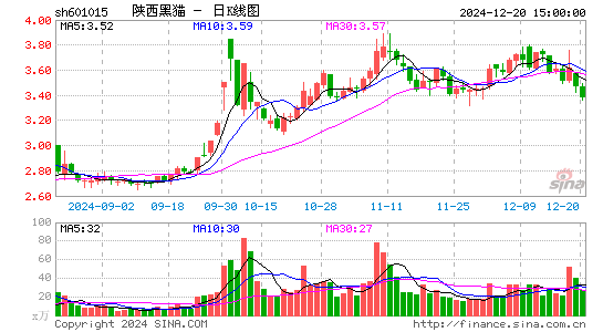 陕西黑猫