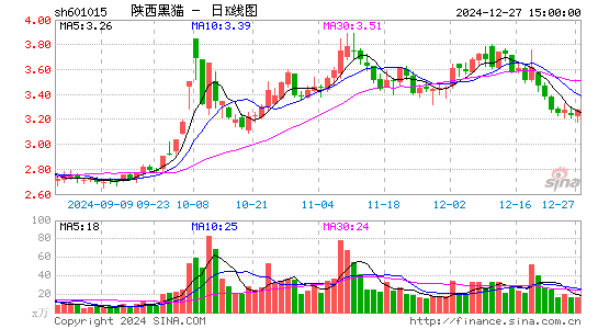 陕西黑猫