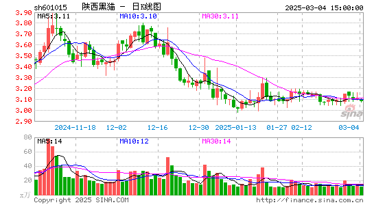 陕西黑猫