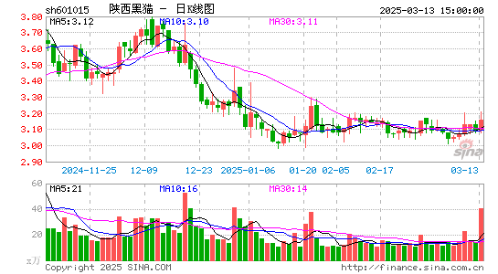 陕西黑猫