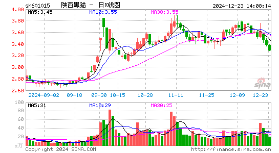 陕西黑猫