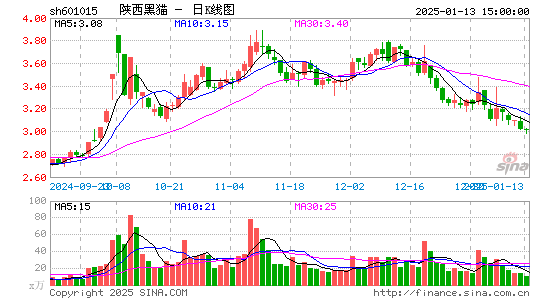 陕西黑猫