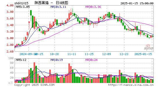 陕西黑猫