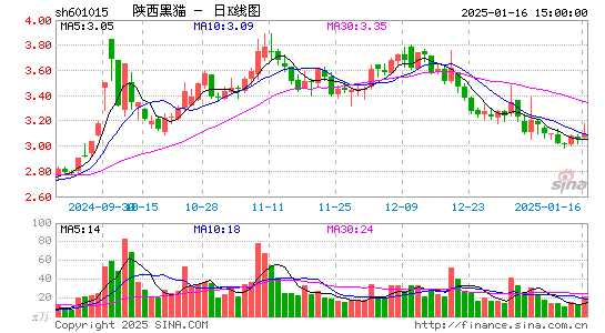 陕西黑猫