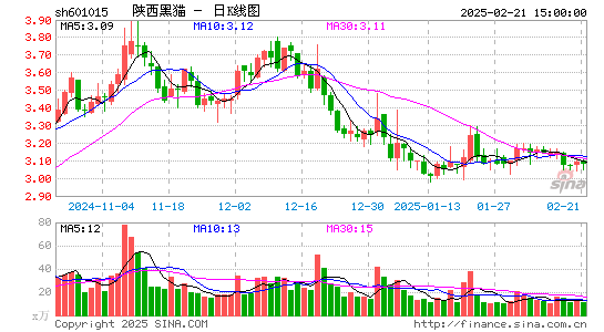 陕西黑猫