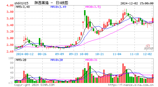 陕西黑猫