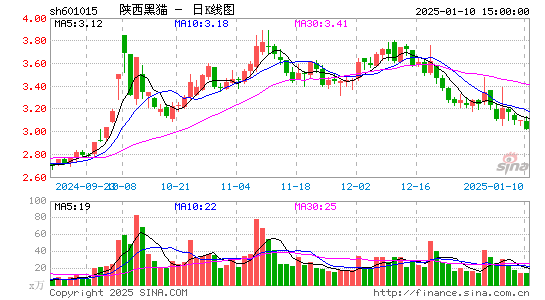 陕西黑猫