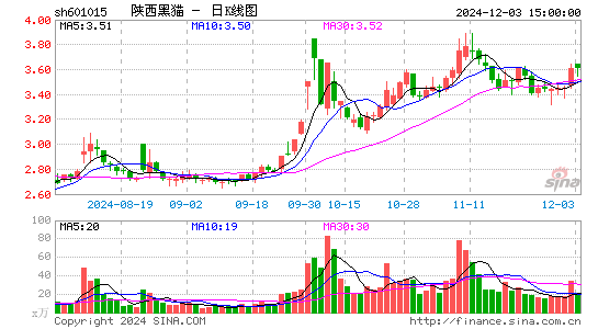 陕西黑猫