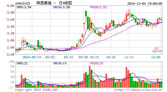 陕西黑猫