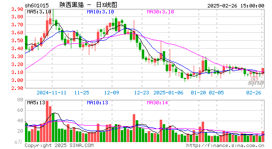 陕西黑猫