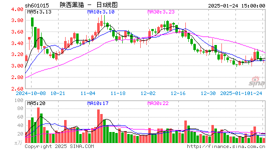 陕西黑猫