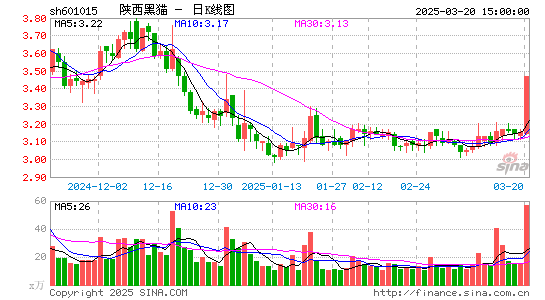 陕西黑猫