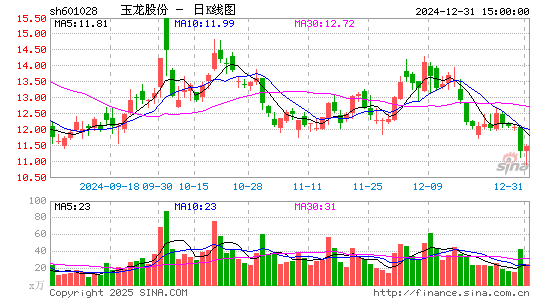 玉龙股份