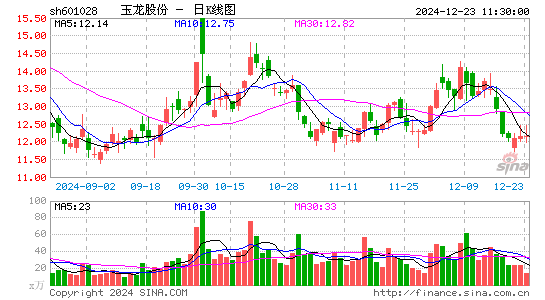 玉龙股份