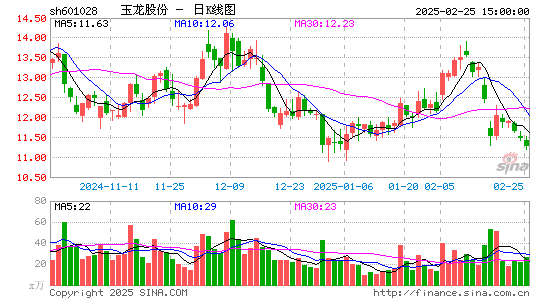 玉龙股份