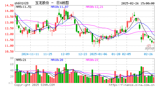 玉龙股份