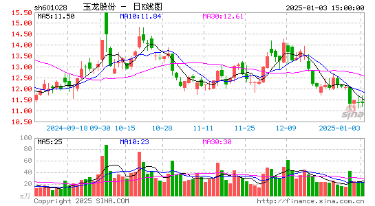 玉龙股份