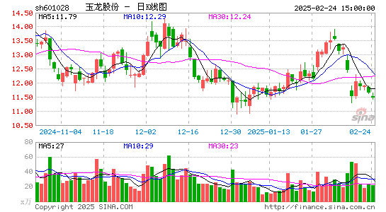 玉龙股份