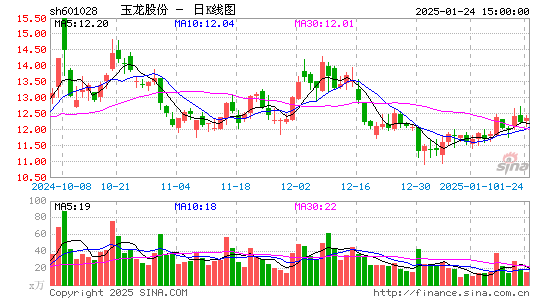 玉龙股份