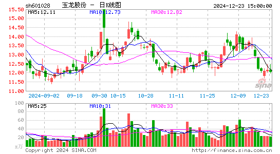 玉龙股份